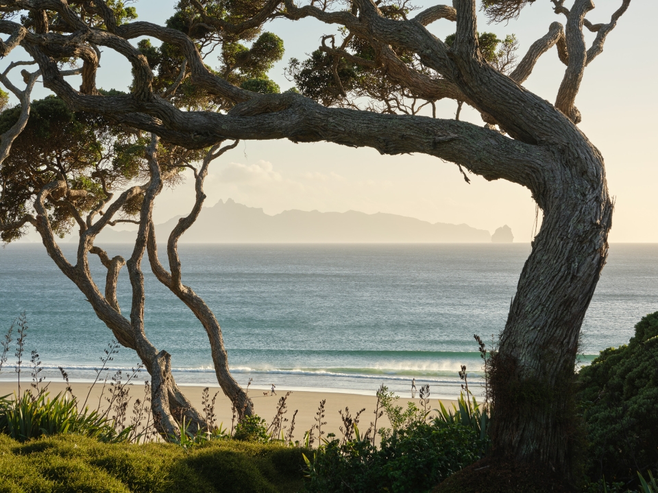 Mangawhai Beachfront